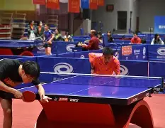 爱游戏体育app-乒乓球夜战：蓬莱灰熊队强势横扫东海貔貅队，速度优势明显外援联手发威